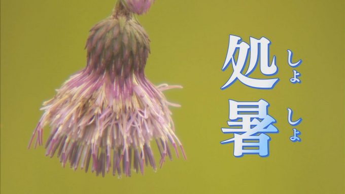 8月23日号のi-cityニュース