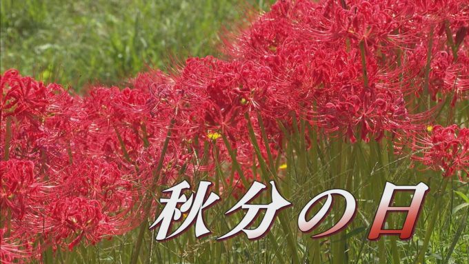9月23日号のi-cityニュース