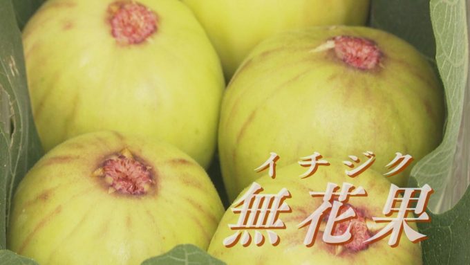 10月14日号のi-cityニュース