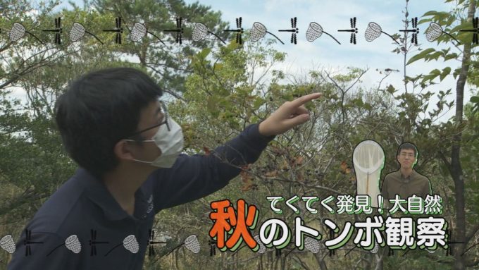 10月28日号のi-cityニュース