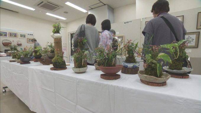 11月1日号のi-cityニュース