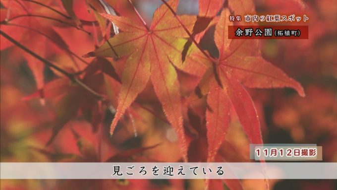 11月18日号のi-cityニュース