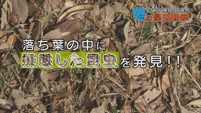 2月21日号のi-cityニュース