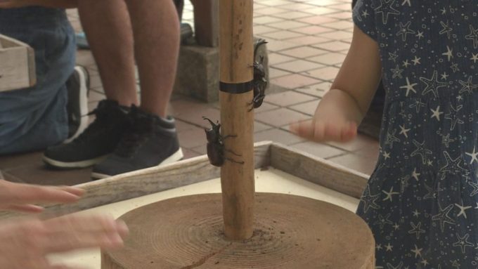 7月17日号のi-cityニュース