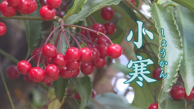 1月6日号のi-cityニュース