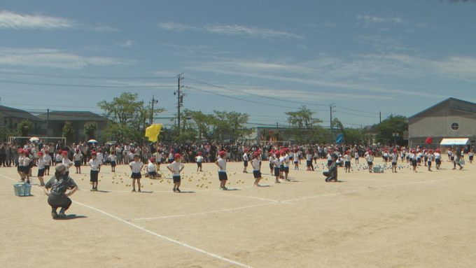 6月4日号のi-cityニュース