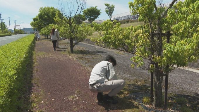 5月30日号のi-cityニュース