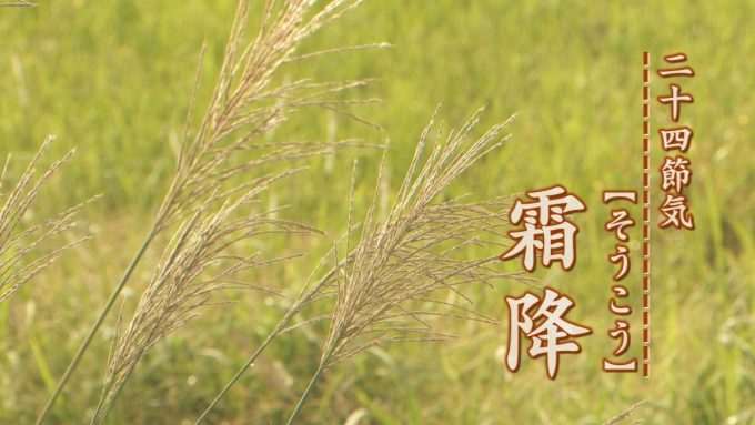 10月23日号のi-cityニュース