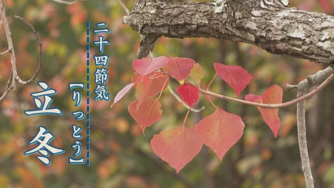 11月7日号のi-cityニュース