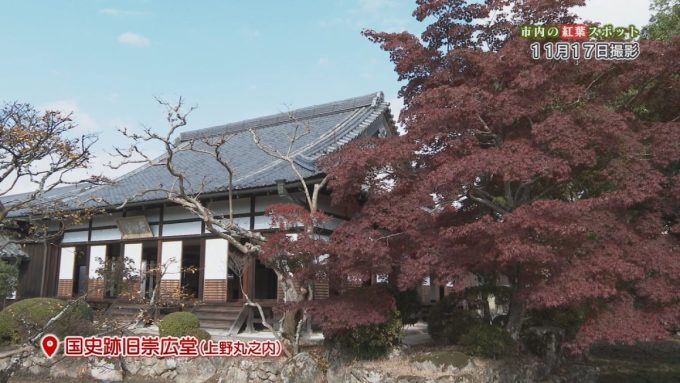 11月20日号のi-cityニュース