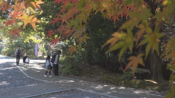 11月26日号のi-cityニュース