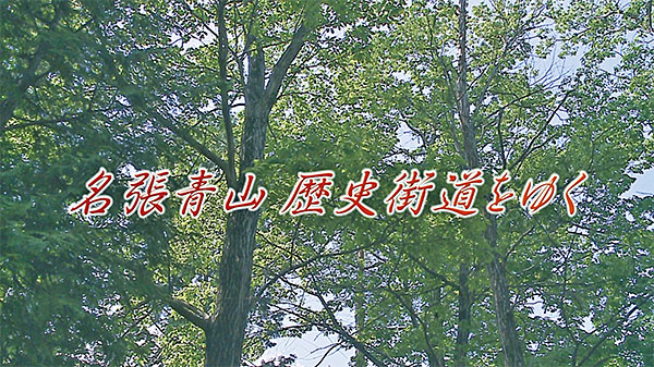 名張青山 画像