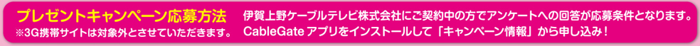 プレゼントキャンペーン応募方法