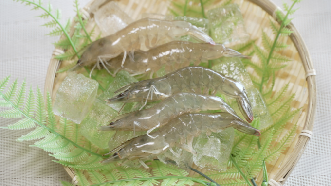 1月30日号のi-cityニュース