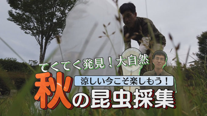 ICTコネクトで「てくてく発見!大自然」を配信中(『スズムシ観察』など秋の番組追加のお知らせ)