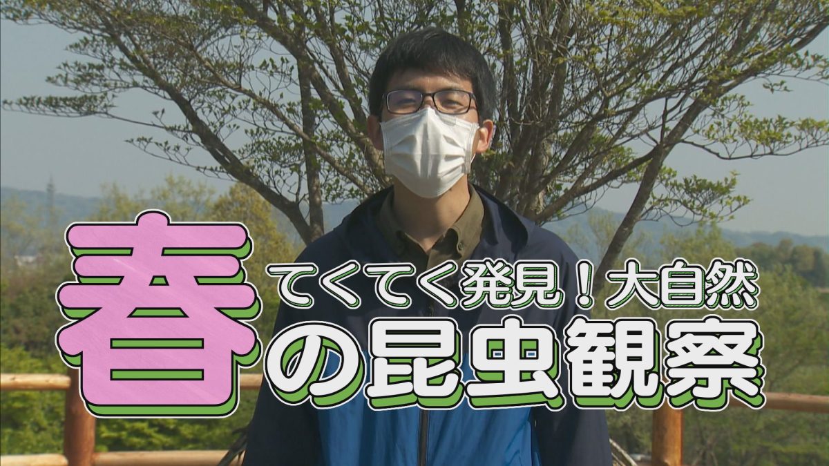 てくてく発見！大自然　春の昆虫観察