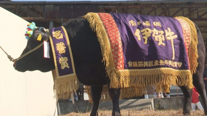 元日から放送！新春特別番組「伊賀牛～風土と人が育む、伊賀の至宝」