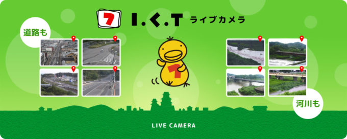 ライブカメラ
