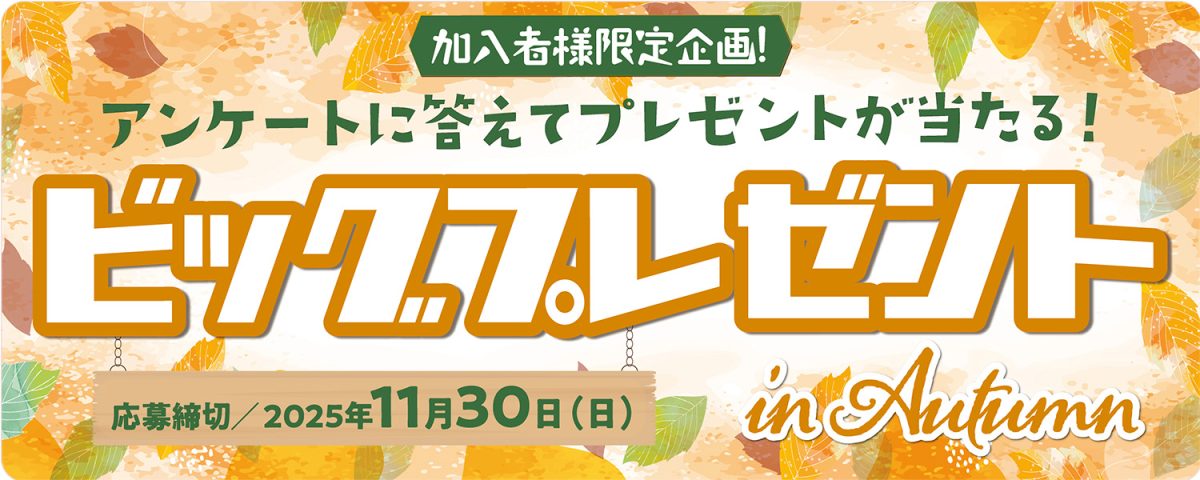 ビッグプレゼント