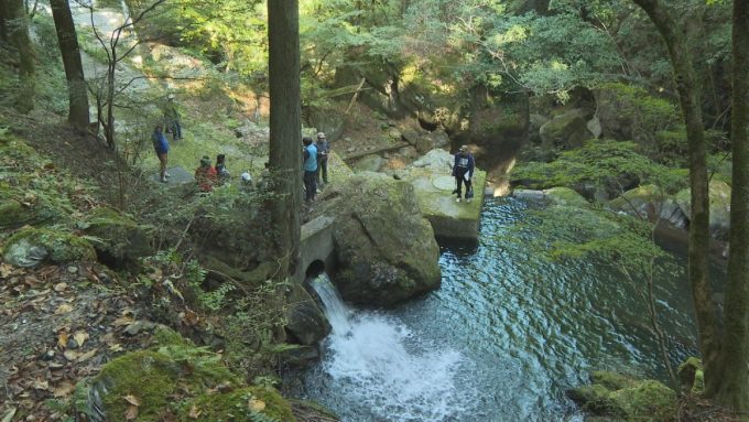 11月11日号のi-cityニュース