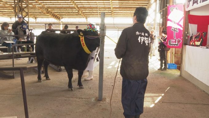 11月16日号のi-cityニュース