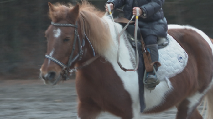 1月6日号のi-cityニュース