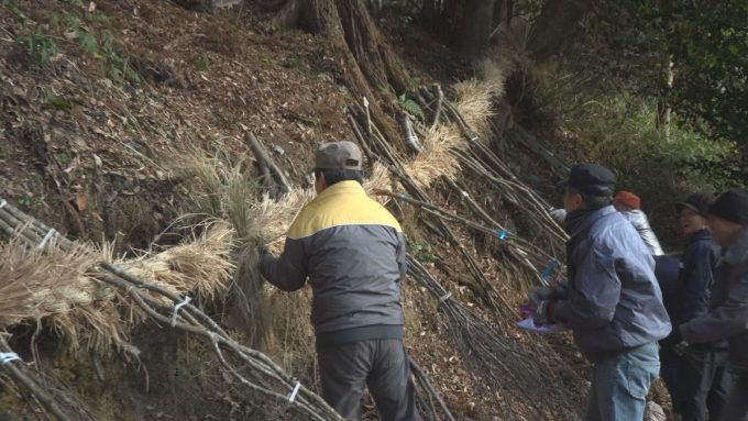 1月14日号のi-cityニュース