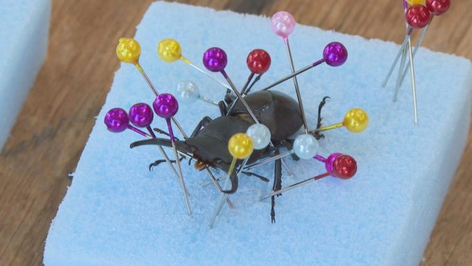 2月26日号のi-cityニュース