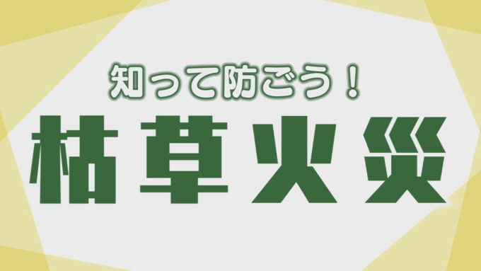 3月1日号のi-cityニュース