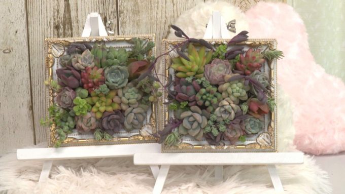 3月6日号のi-cityニュース