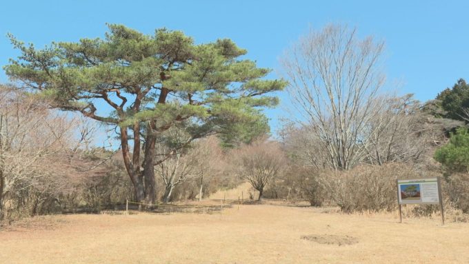 3月17日号のi-cityニュース