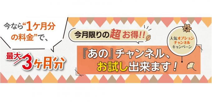 オプションチャンネルキャンペーン受付開始!